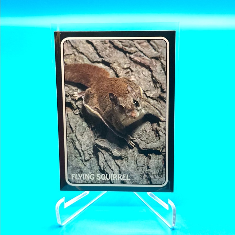 2024 Topps Heritage Flying Squirrel Jeff McNeil🔥Zoo's Who Stick-Ons!🔥75Z-10